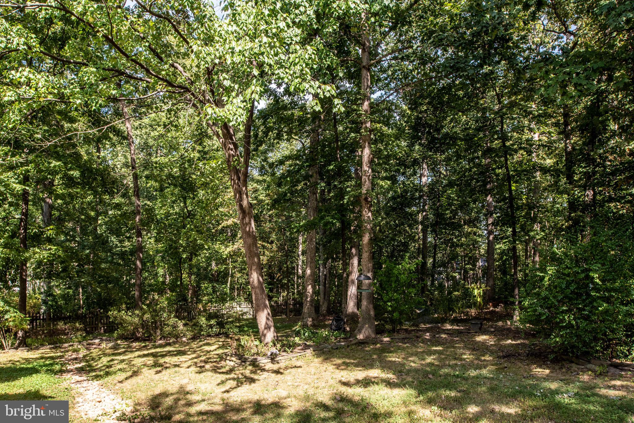 4205 Artillery Ridge Road Fredericksburg, VA 22408 - Photo 63 of 65