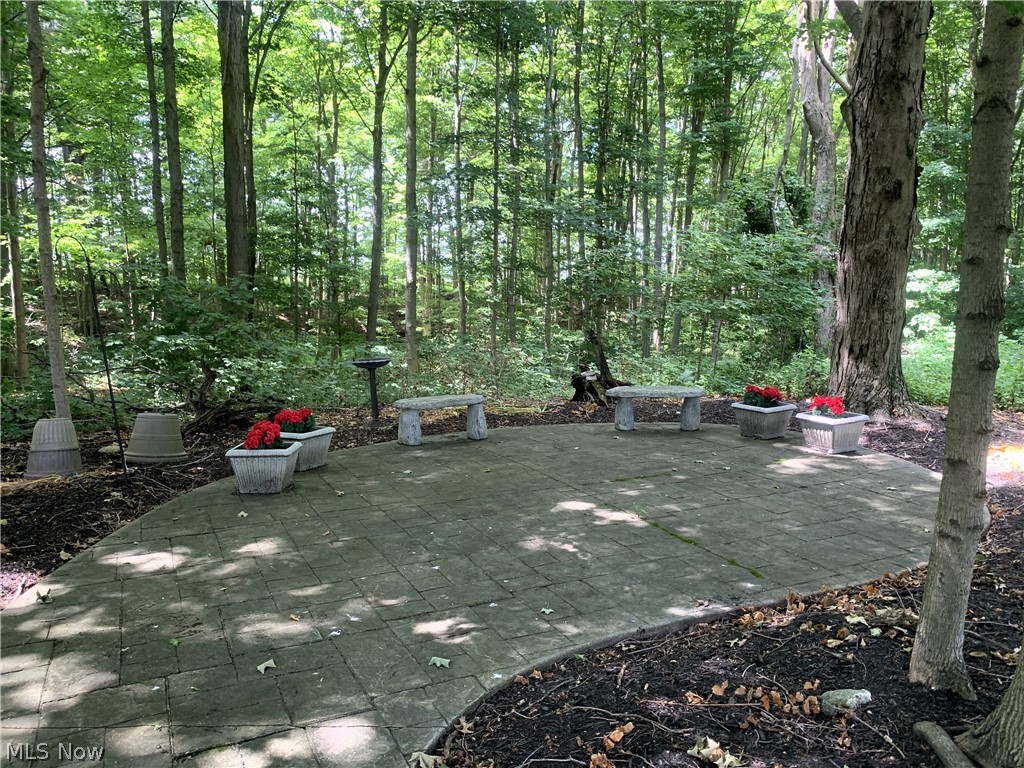 521 Hasbrock Road Norwalk, OH 44857 - Photo 44 of 50 Patio Near the Woods
