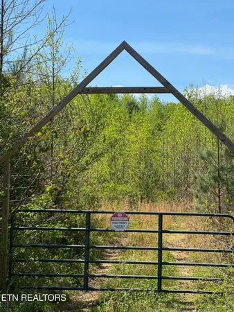 $170,000 | Coon Hollow Road, Sunbright, TN 37872