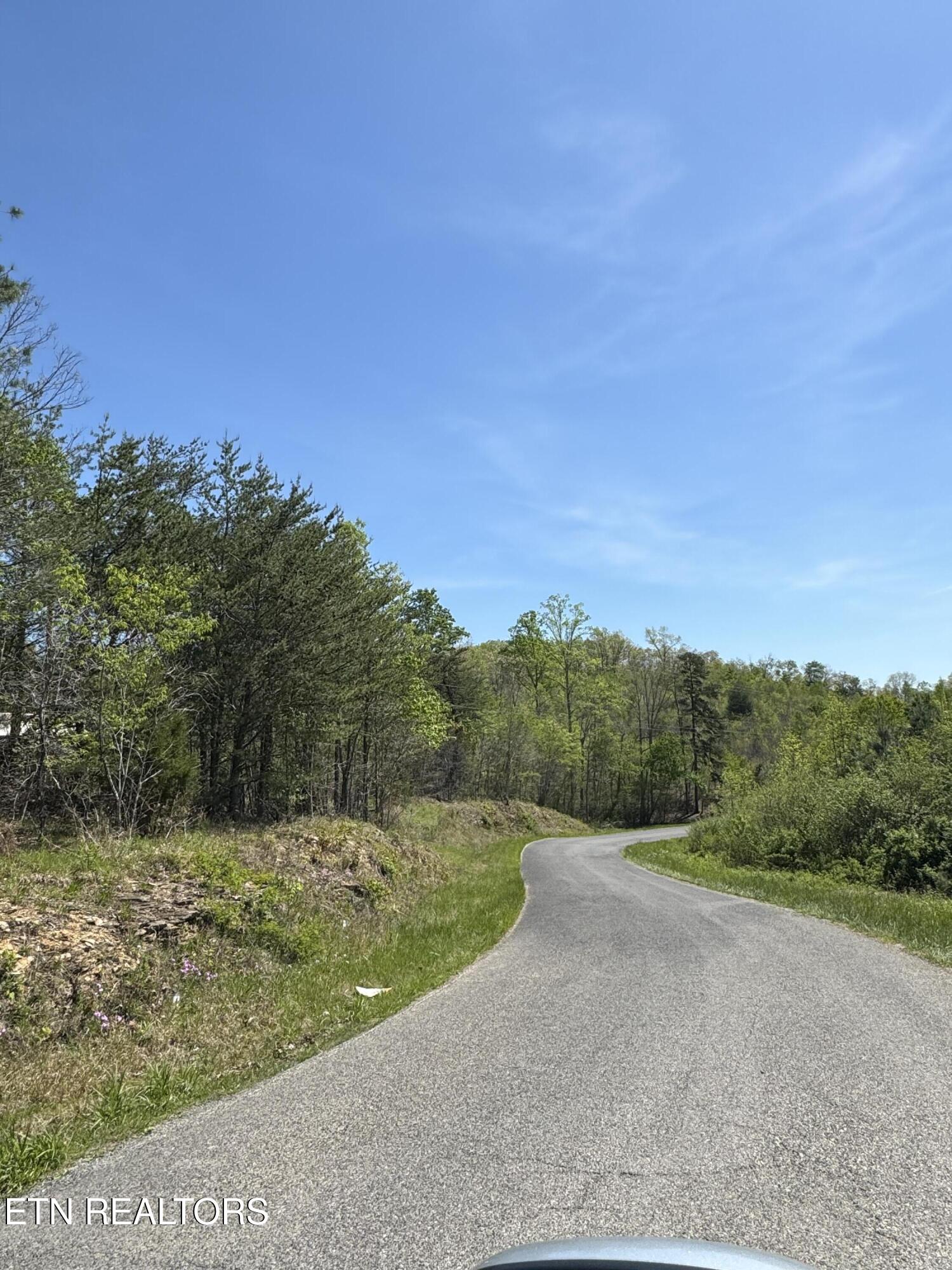Coon Hollow Road Sunbright, TN 37872 - Photo 2 of 15 IMG_0653