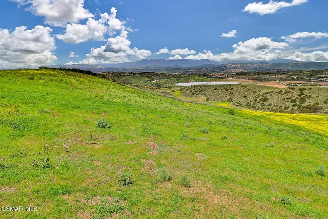 a view of a lake and a yard