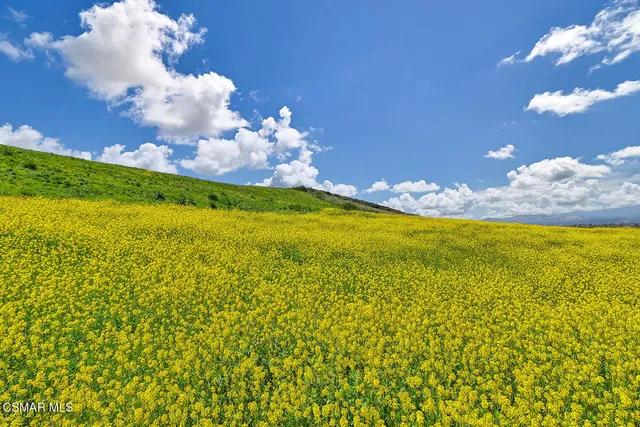 a view of swimming pool and mountain in the background
