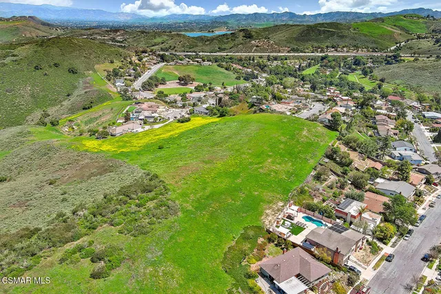 a view of a lush green forest with lots of trees