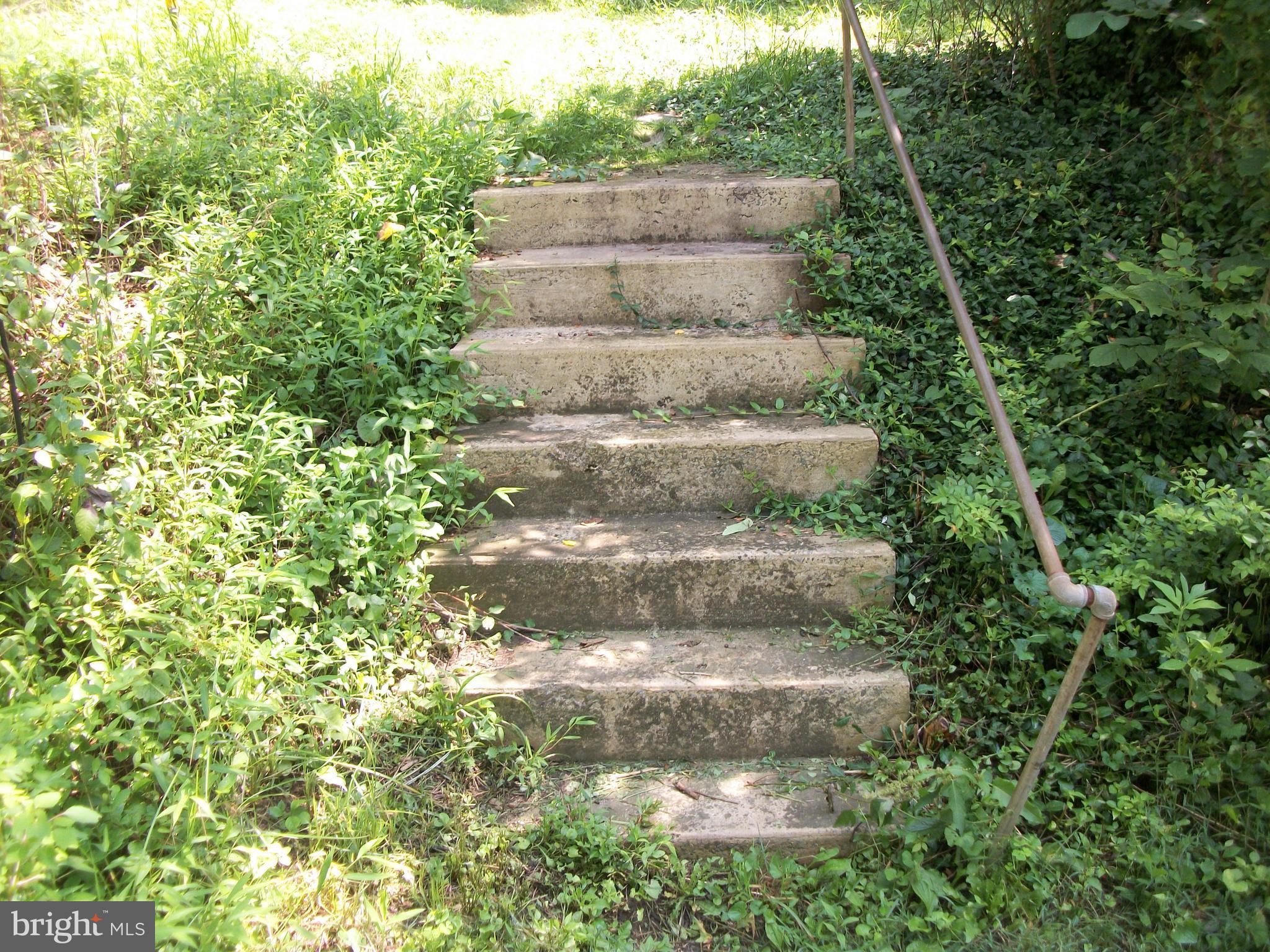 9101 Hawbottom Road Frederick, MD 21702 - Photo 3 of 17 Front Steps to house
