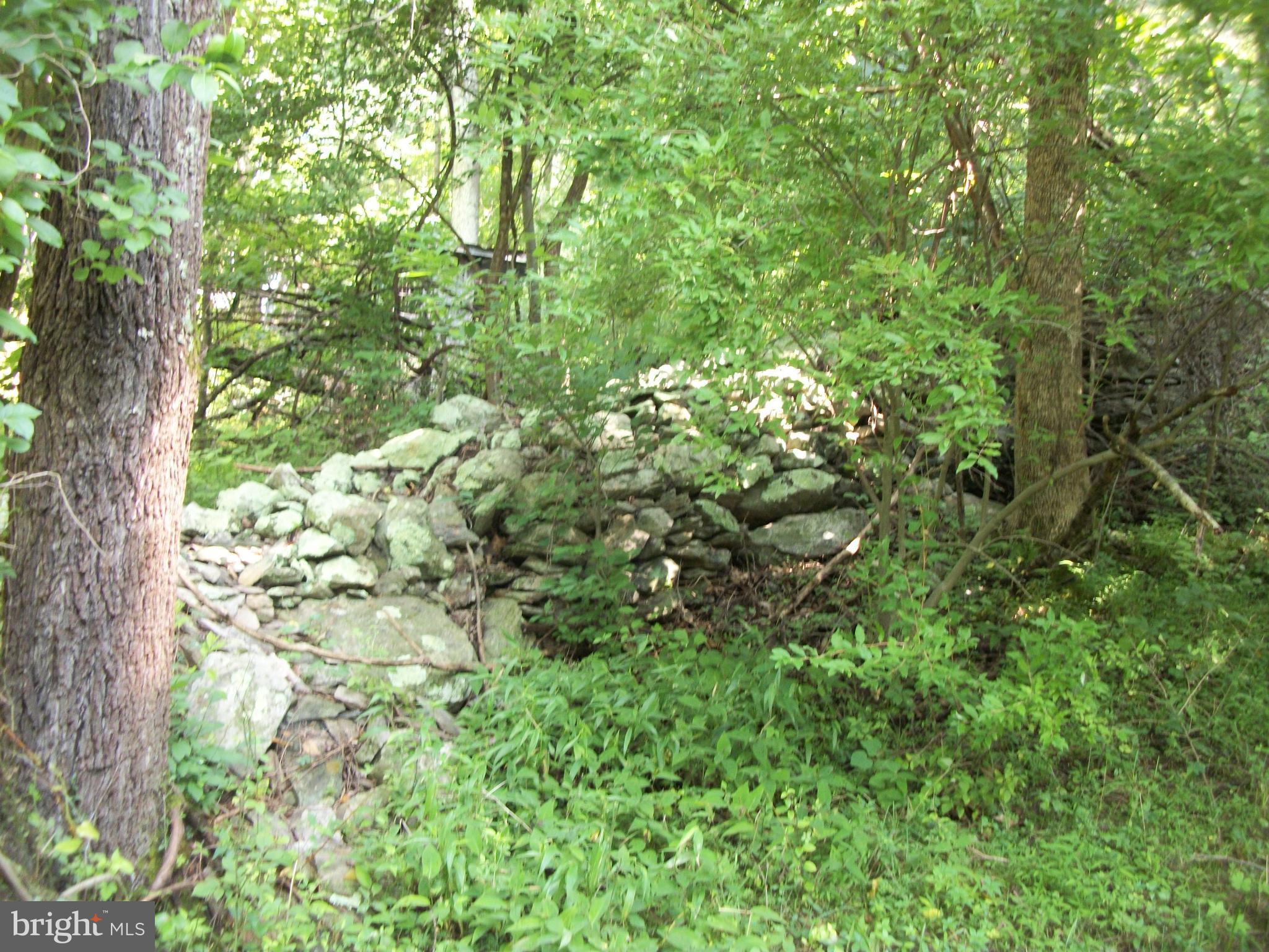 9101 Hawbottom Road Frederick, MD 21702 - Photo 5 of 17 Stone wall on property