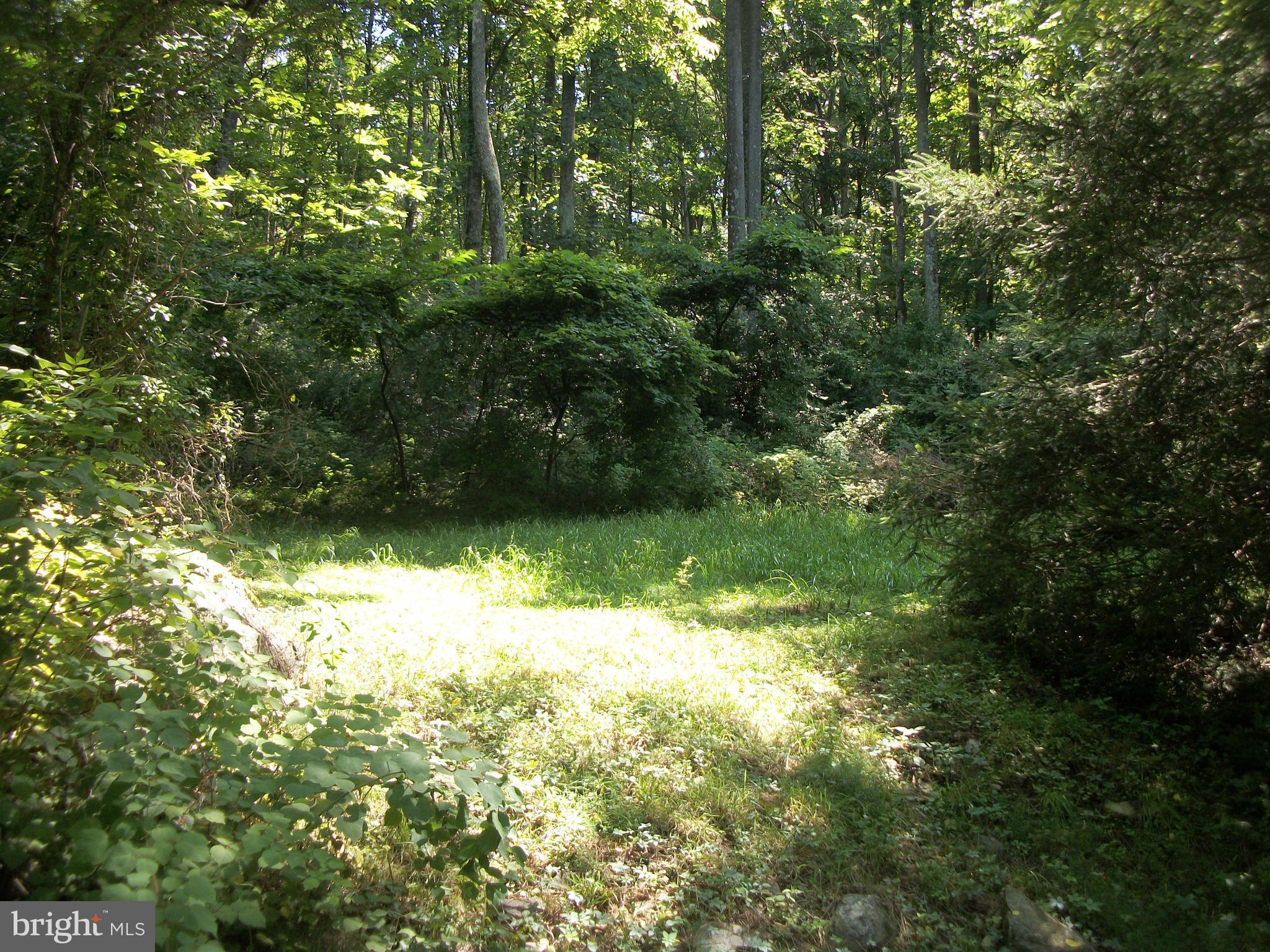 9101 Hawbottom Road Frederick, MD 21702 - Photo 8 of 17 Level area