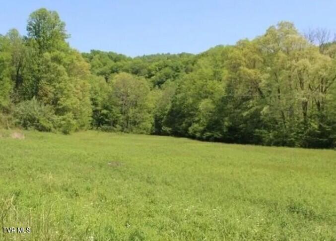 1910 Mabe Stanleytown Rd, Duffield