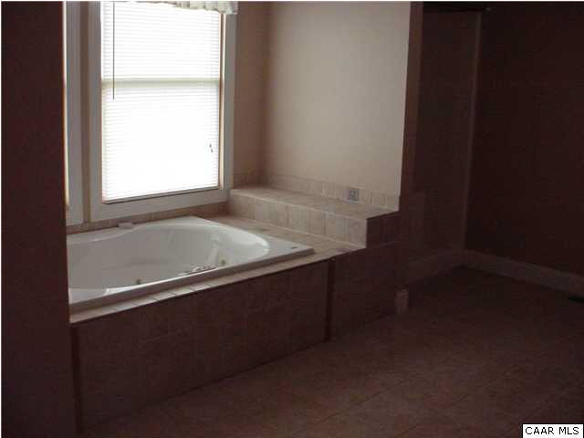 703 Social Hall Road New Canton, VA 23123 - Photo 7 of 13 Master Bath