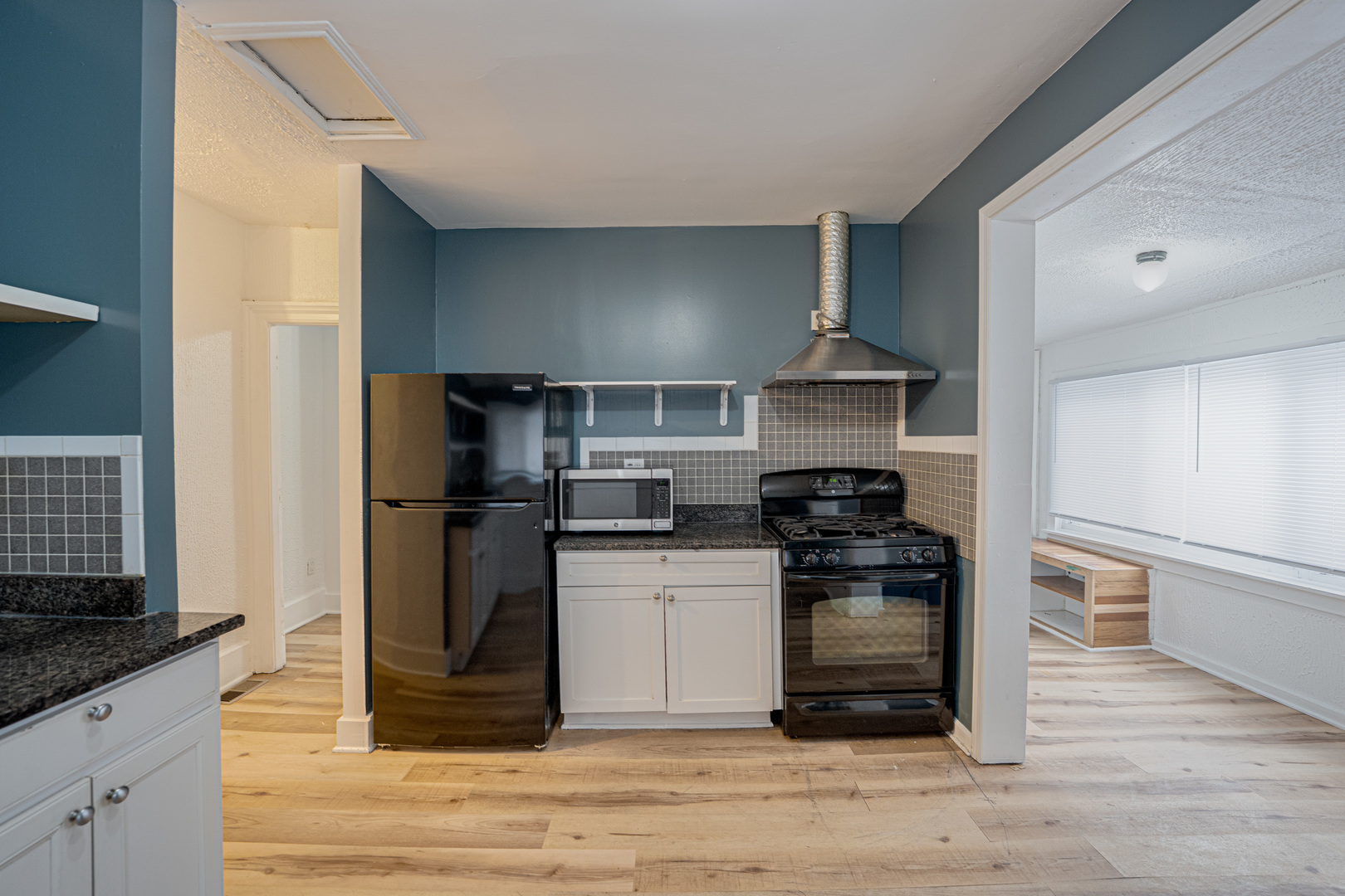 264 North Jackson Street, Unit 2 Elgin, IL 60123 - Photo 6 of 19