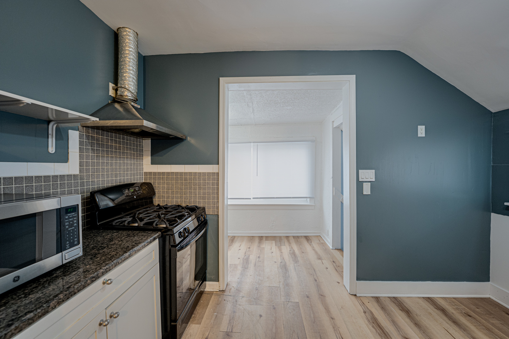 264 North Jackson Street, Unit 2 Elgin, IL 60123 - Photo 7 of 19