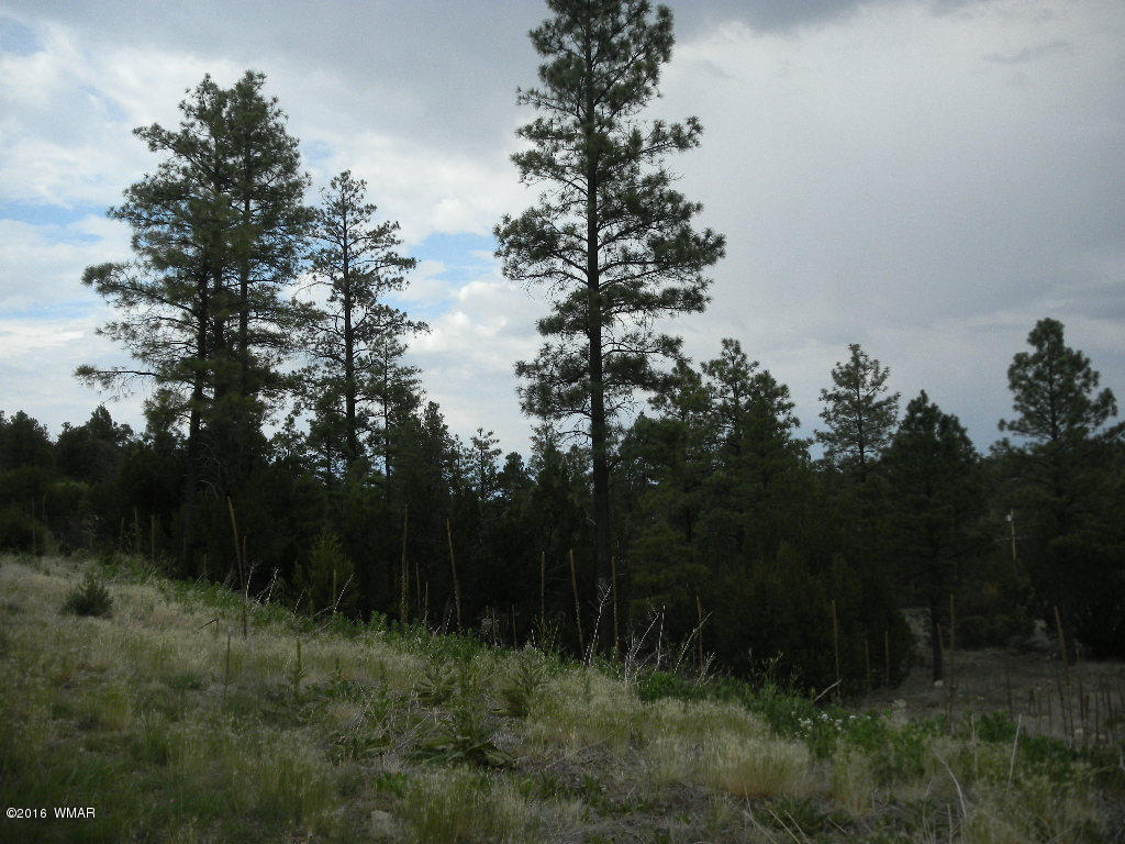 3349 Saw Mill Ridge Loop Heber, AZ 85928 - Photo 2 of 9