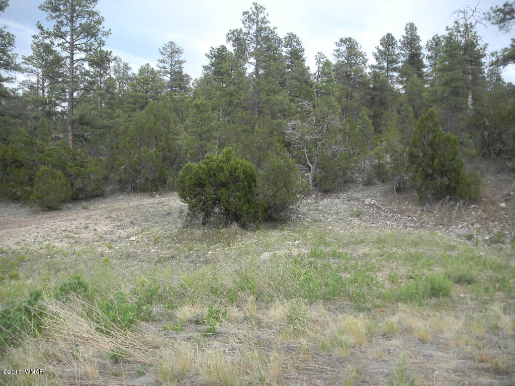 3349 Saw Mill Ridge Loop Heber, AZ 85928 - Photo 3 of 9