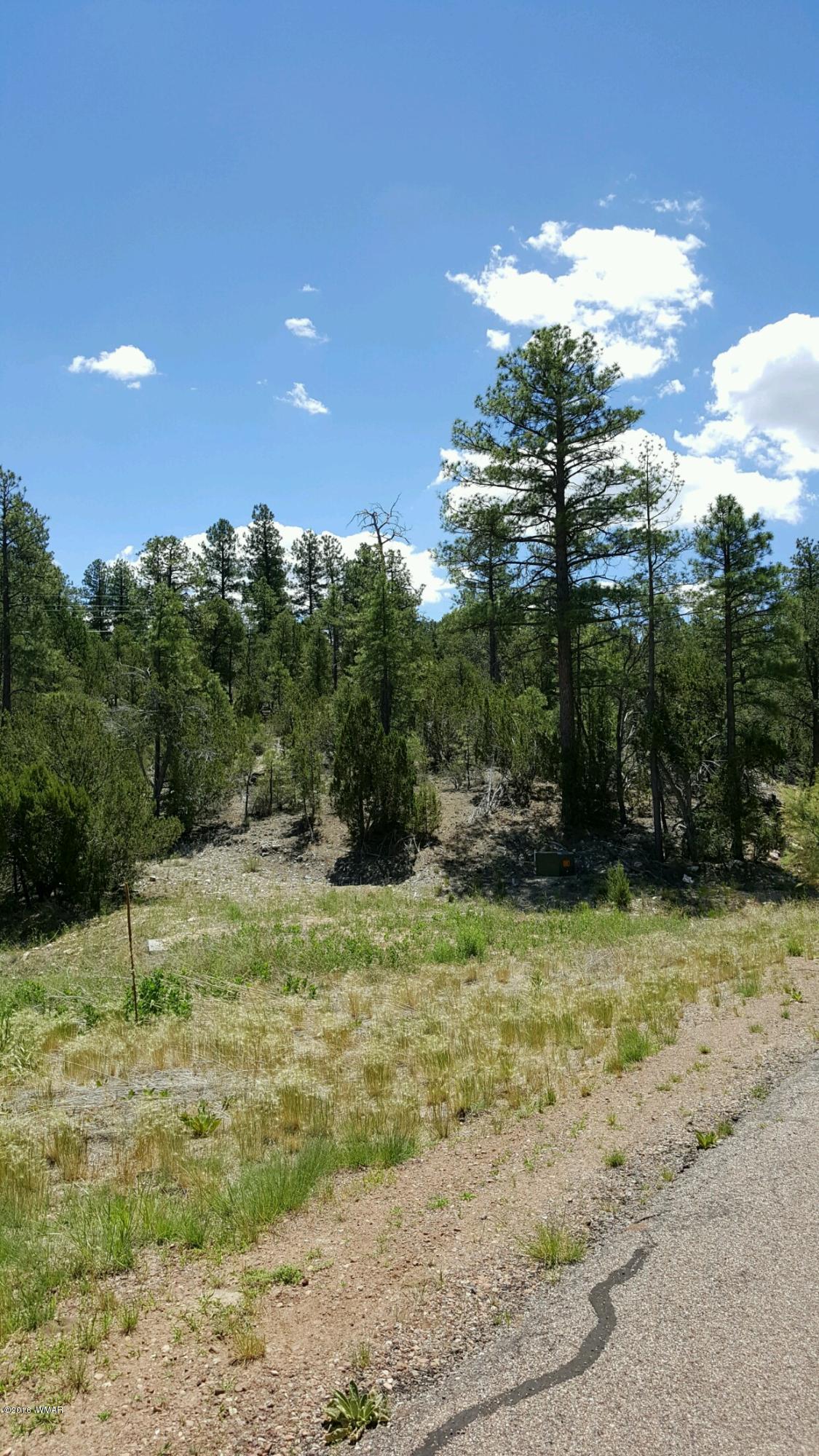 3349 Saw Mill Ridge Loop Heber, AZ 85928 - Photo 4 of 9