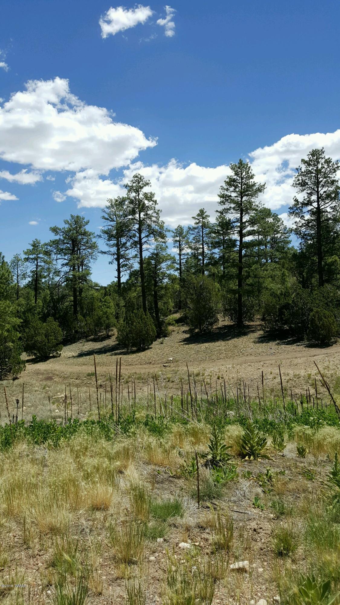 3349 Saw Mill Ridge Loop Heber, AZ 85928 - Photo 6 of 9