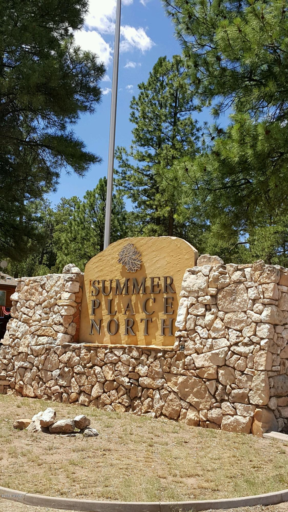 3349 Saw Mill Ridge Loop Heber, AZ 85928 - Photo 7 of 9