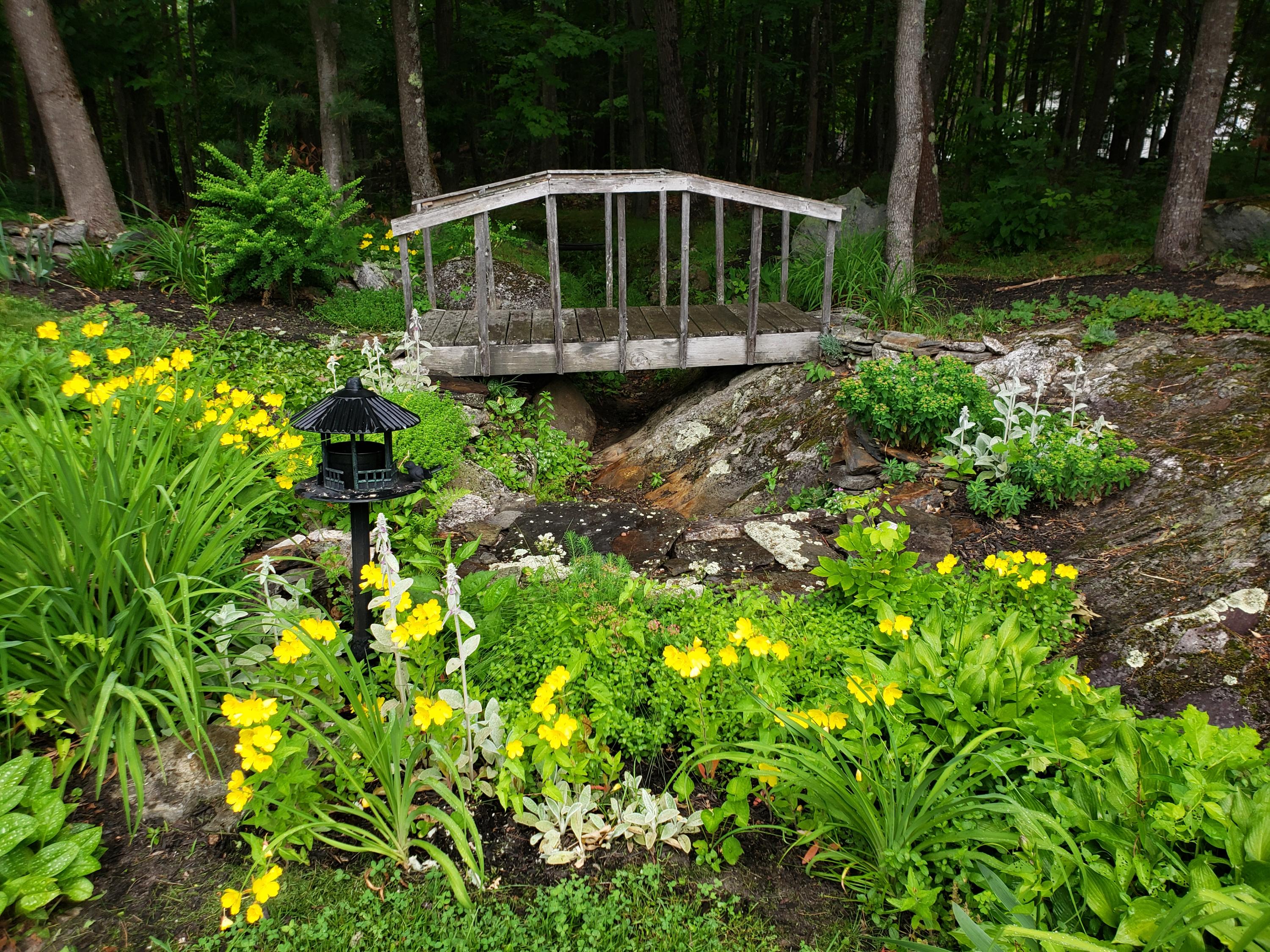 141 Warren Hill Road Jay, ME 04239 - Photo 91 of 101 20210622_142042