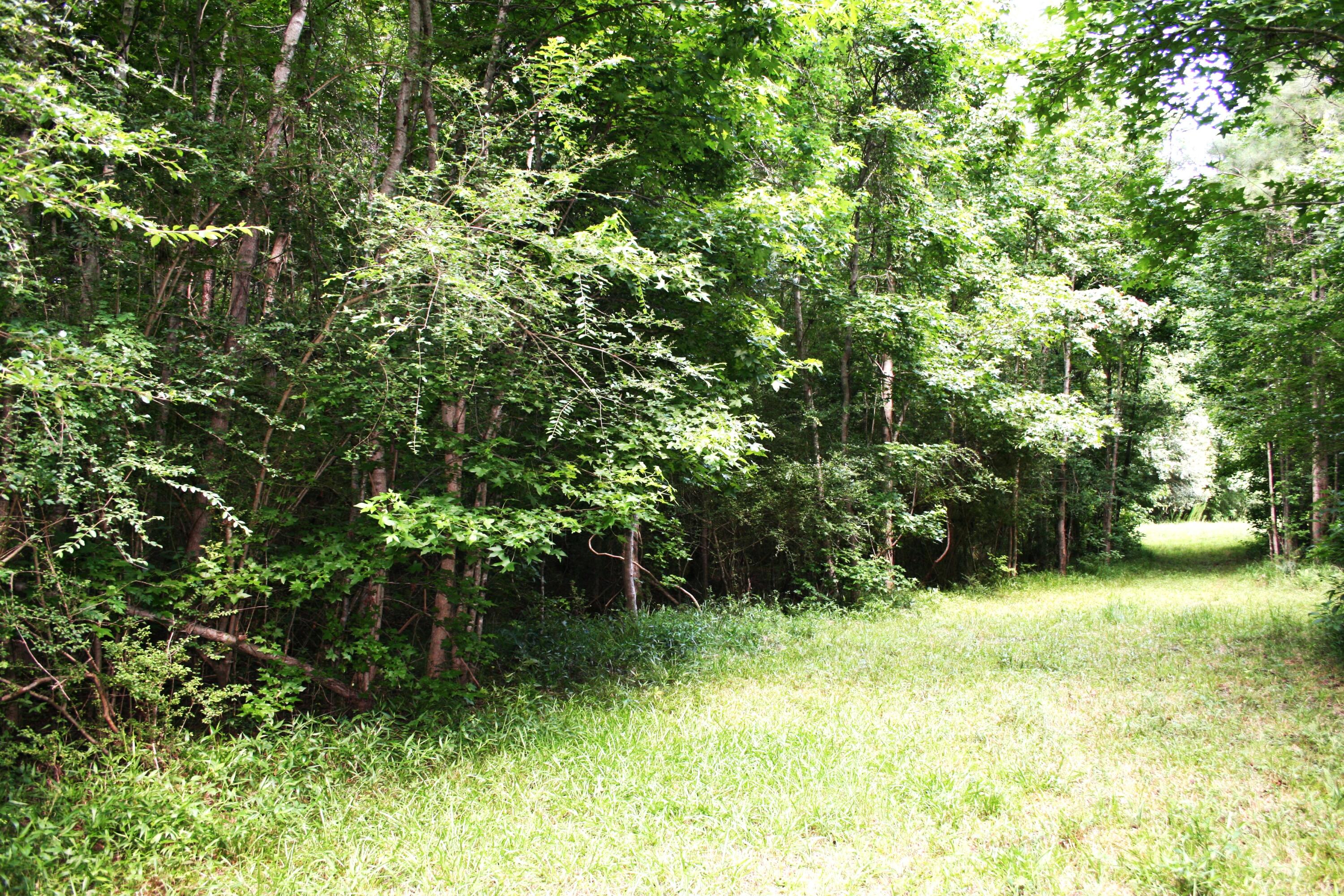 0 Kitfield Road Moncks Corner, SC 29461 - Photo 2 of 8 Kitfield 1