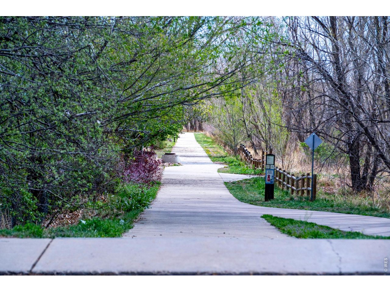 4240 Corriente Place Boulder, CO 80301 - Photo 18 of 21 a park with large trees