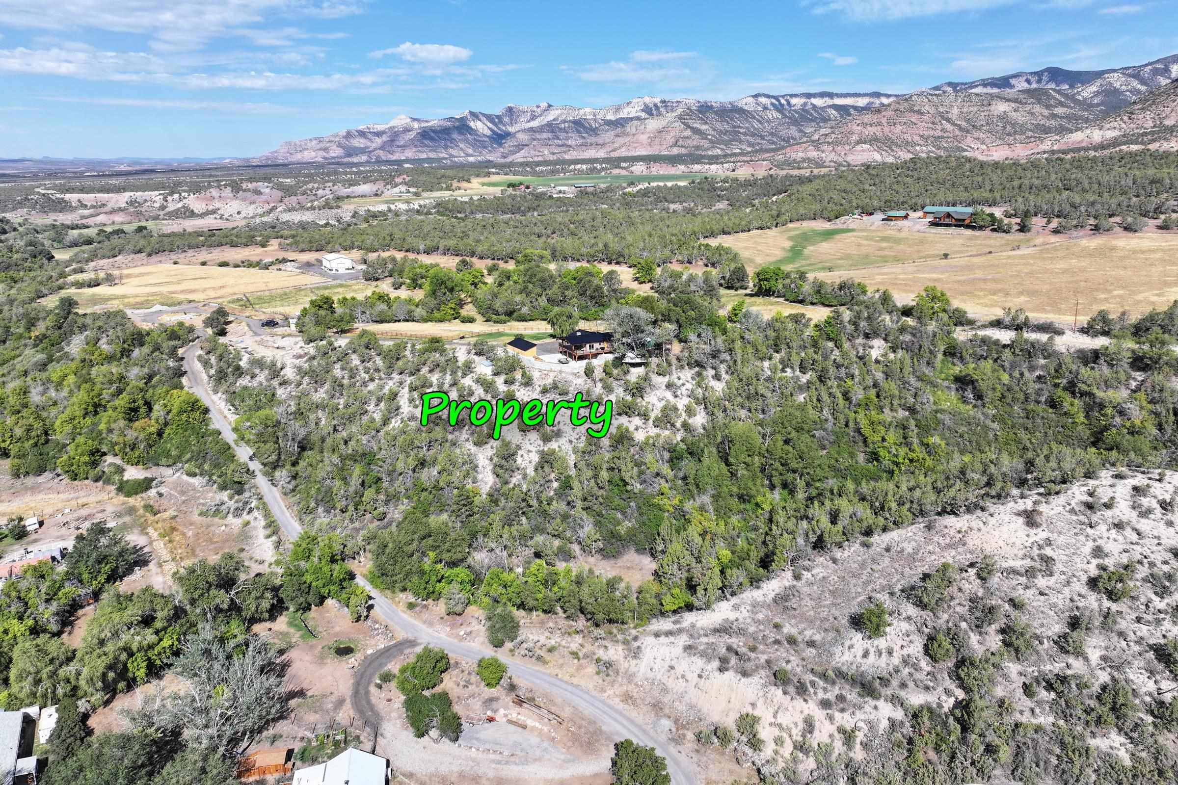 16143 58 6/10 Road Collbran, CO 81624 - Photo 38 of 42 Gallery Image 38