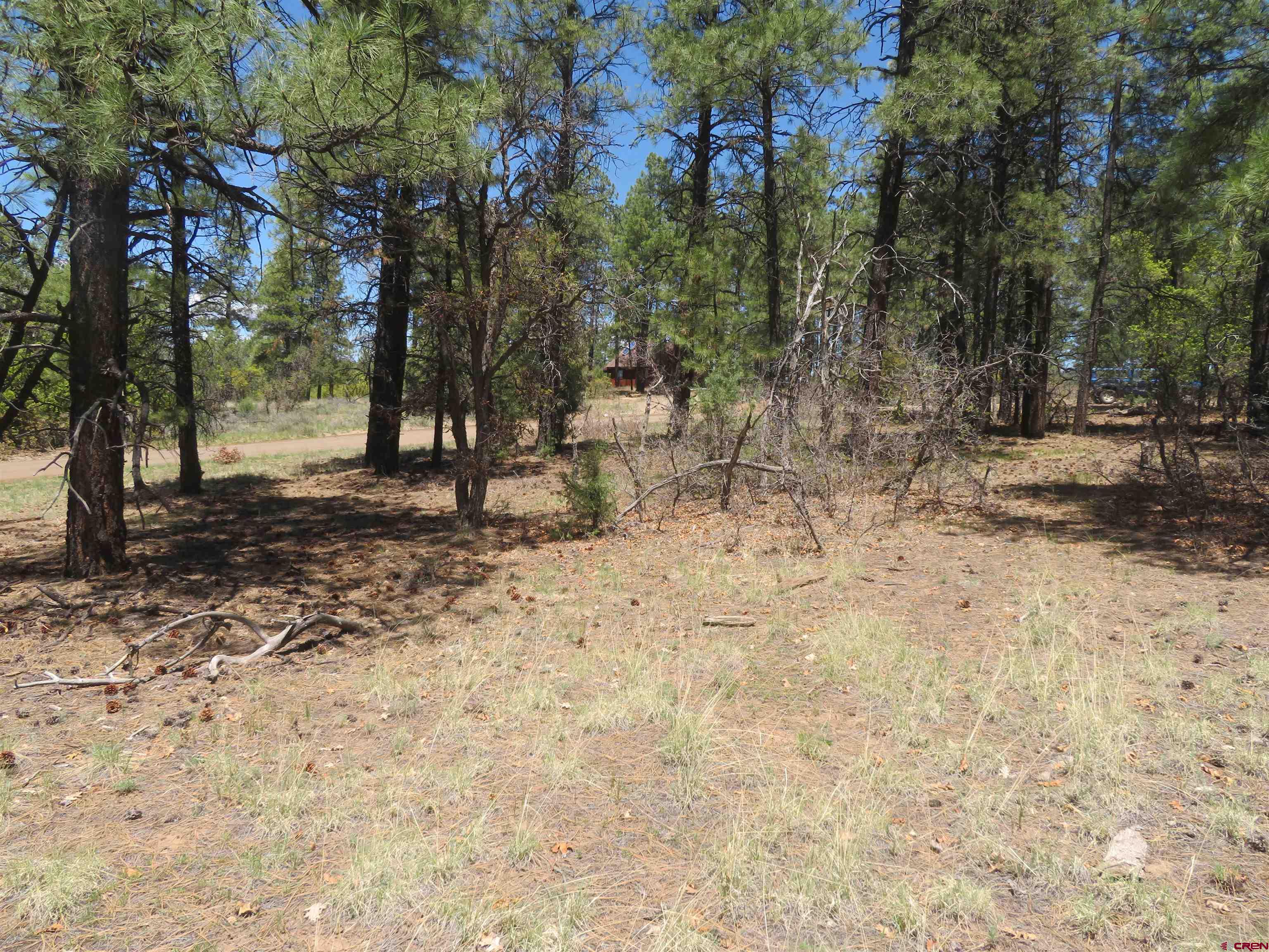 491 Crooked Road Pagosa Springs, CO 81147 - Photo 14 of 18 a view of outdoor space with trees