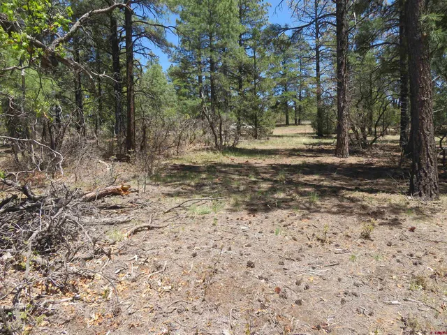 a view of outdoor space with trees