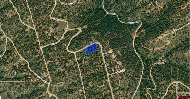 a view of a tree with a yard