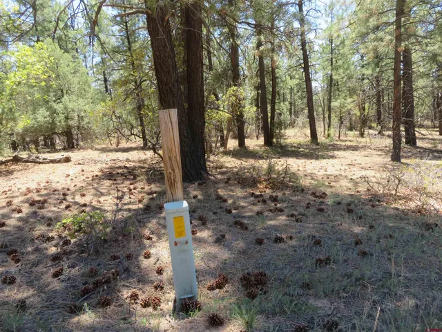 a view of covered with trees