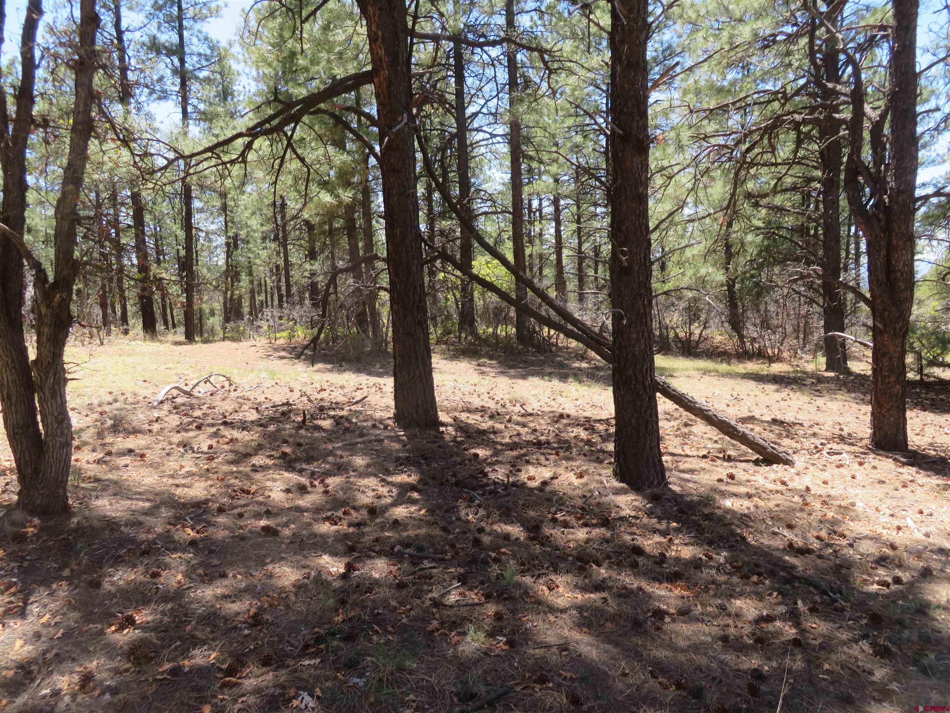 491 Crooked Road Pagosa Springs, CO 81147 - Photo 9 of 18 a view of a snow covered in snow