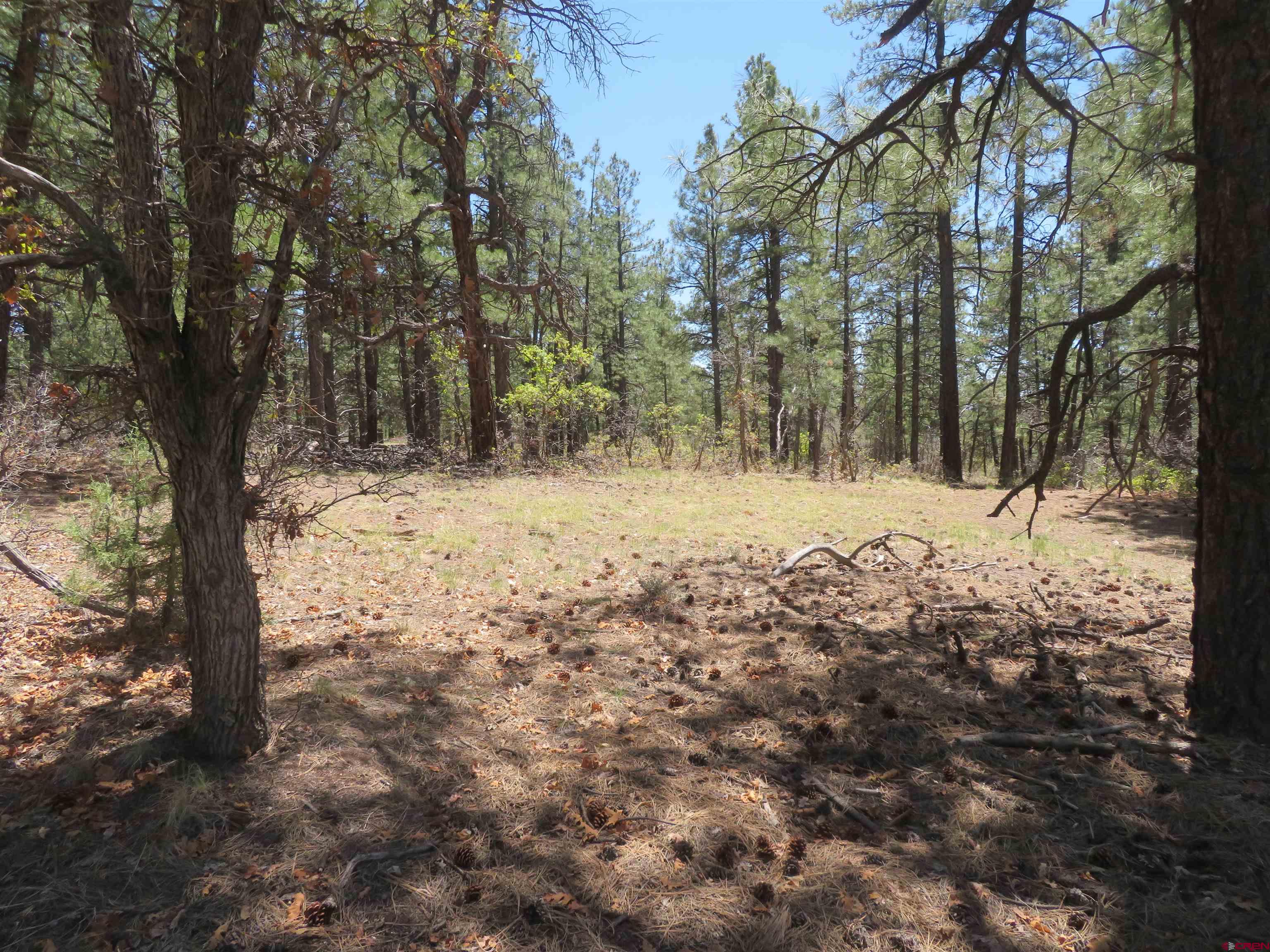 491 Crooked Road Pagosa Springs, CO 81147 - Photo 10 of 18