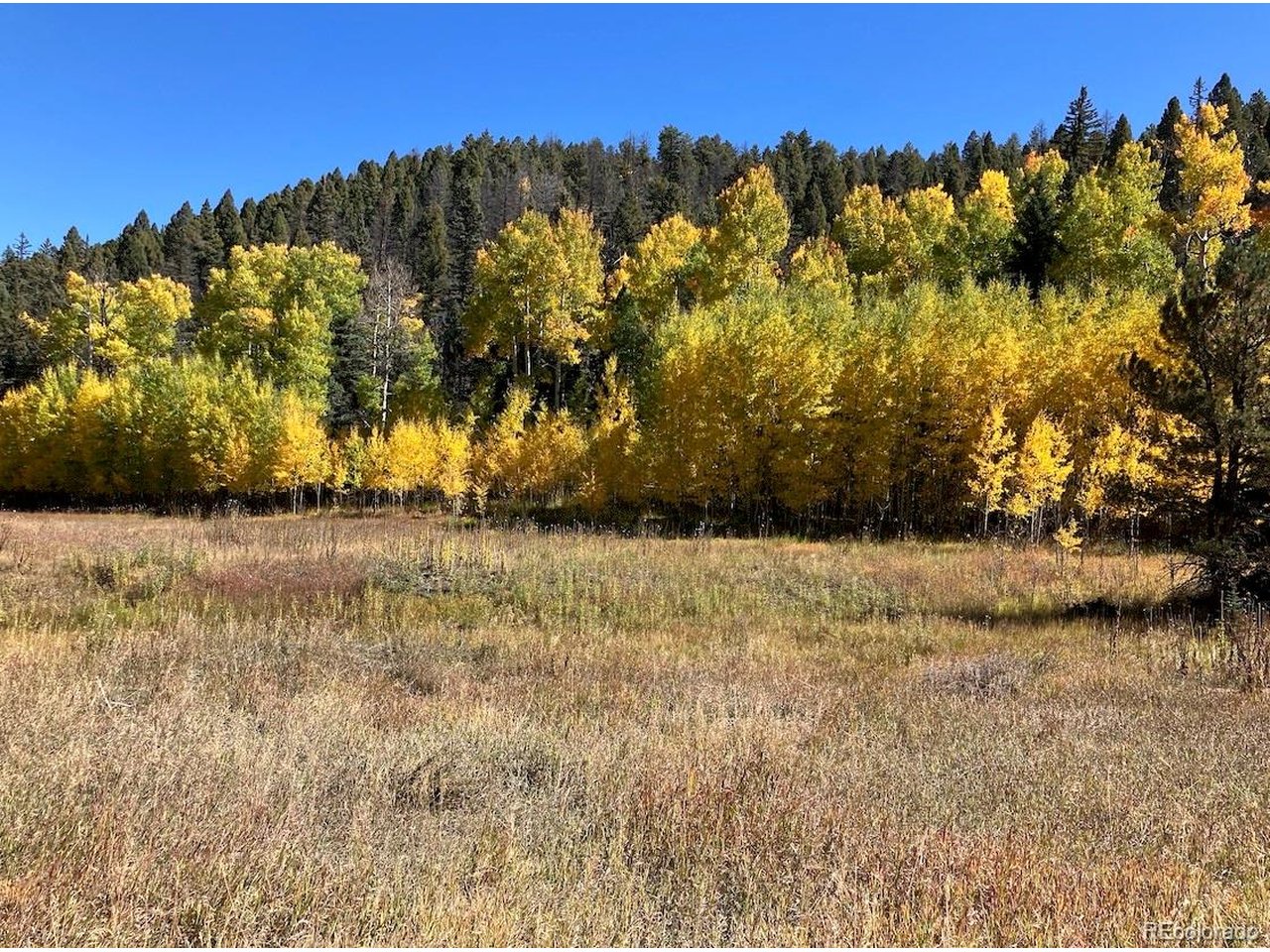1 Co Road Westcliffe, CO 81252 - Photo 24 of 42 Fall