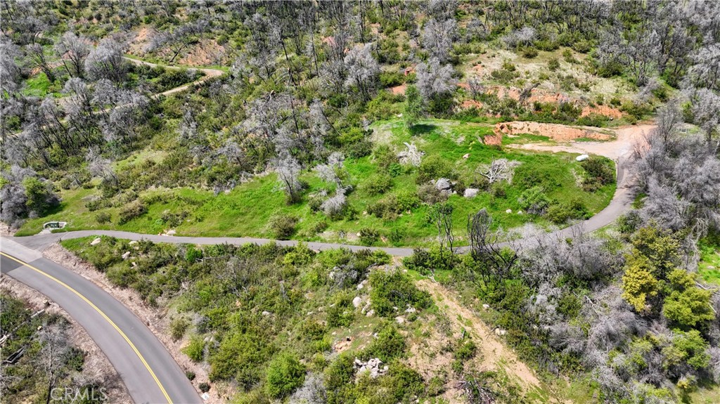 4632 Triangle Road Mariposa, CA 95338 - Photo 3 of 26 a view of a garden