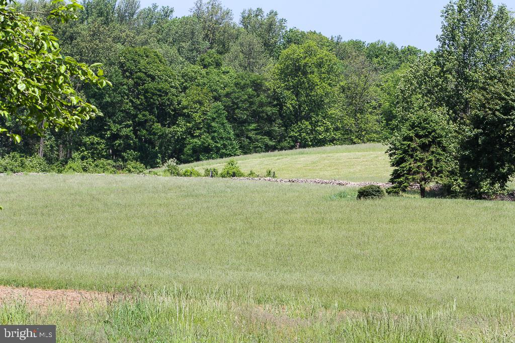16 Old State Road Boyertown, PA 19512 - Photo 34 of 39 view looking up the hill