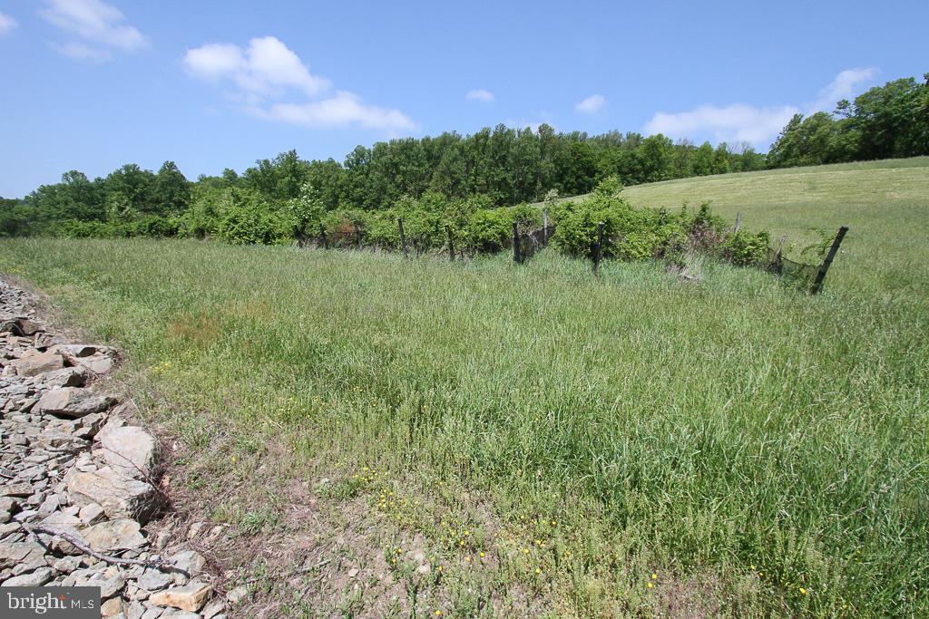 16 Old State Road Boyertown, PA 19512 - Photo 39 of 39 old vineyard