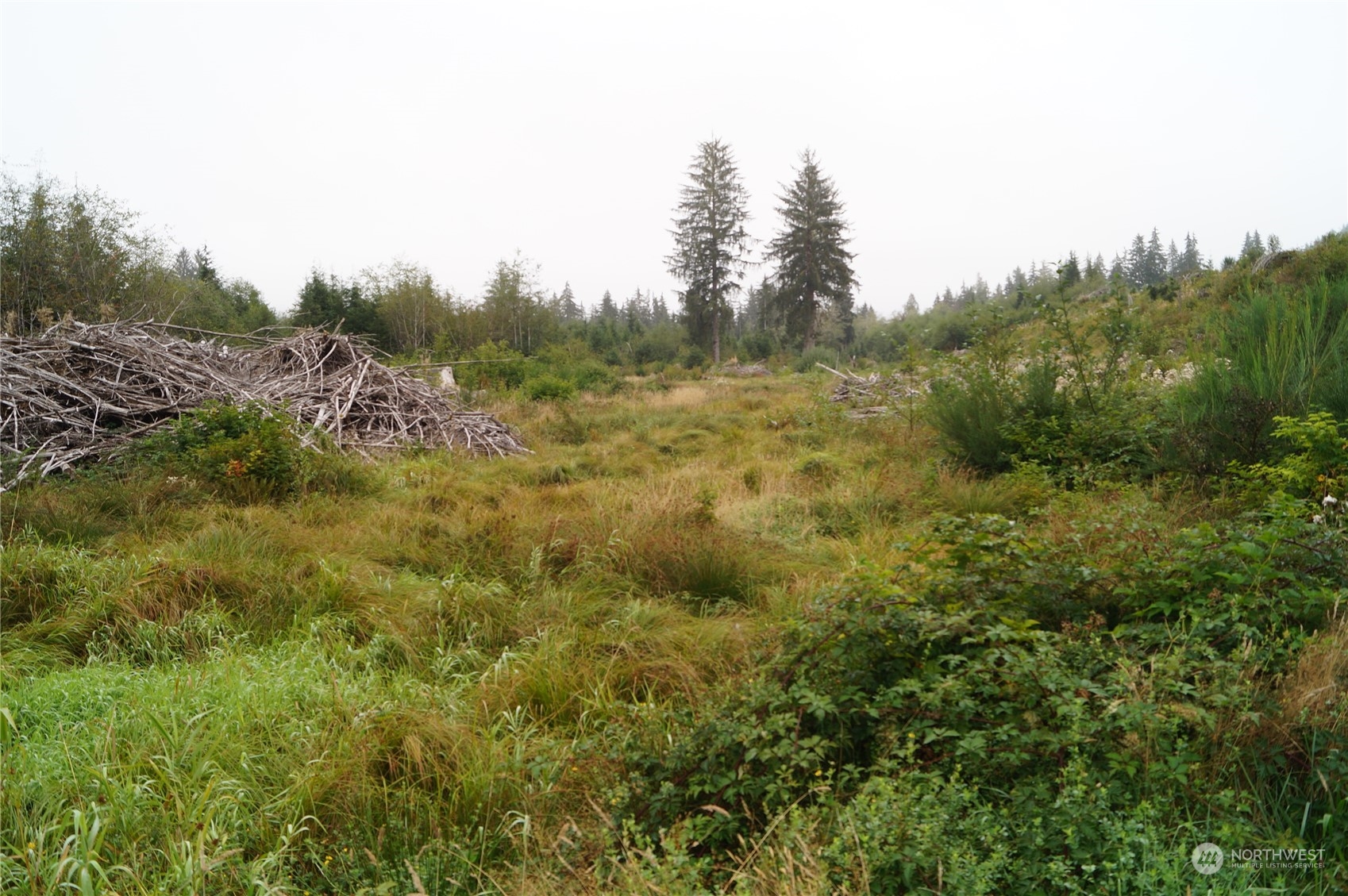 -off Of Wynoochee Valley Road Montesano, WA 98563 - Photo 1 of 8