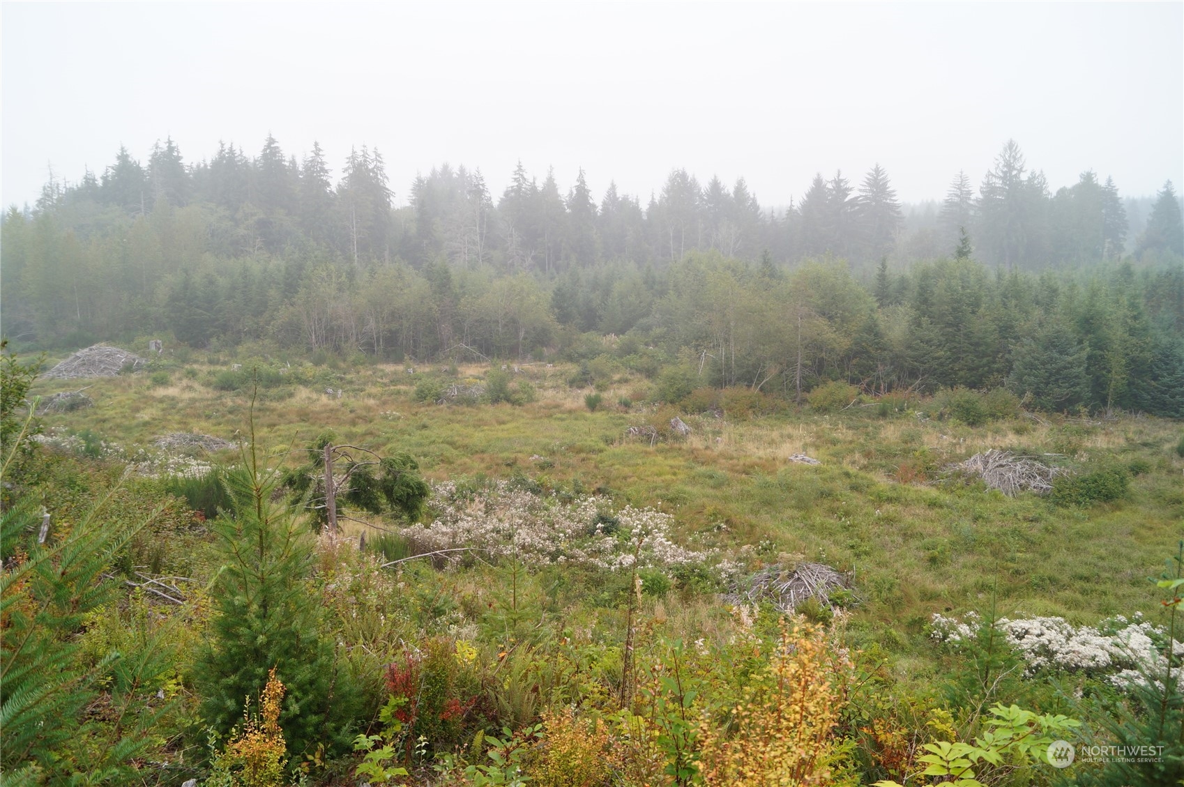 -off Of Wynoochee Valley Road Montesano, WA 98563 - Photo 3 of 8