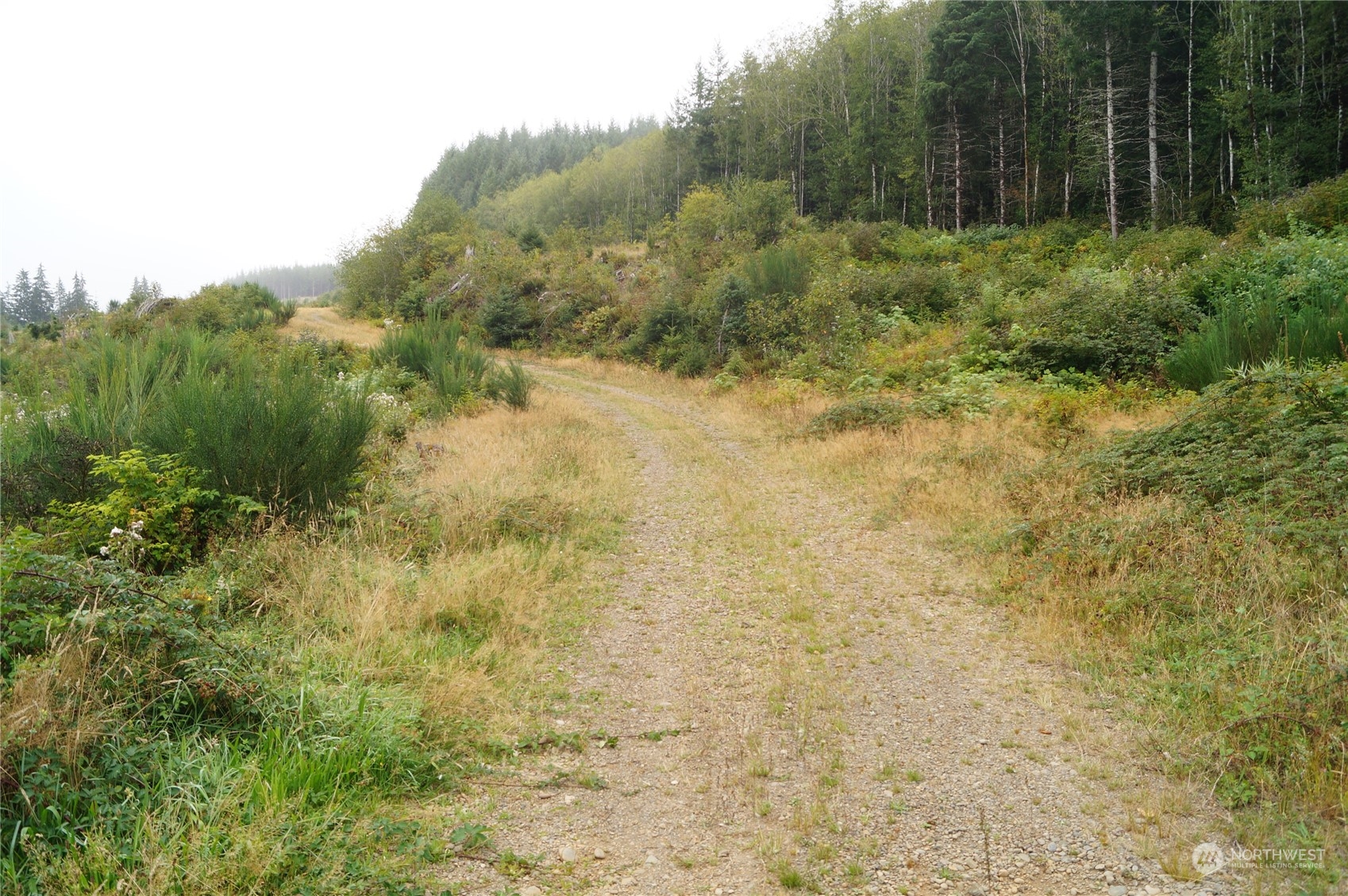 -off Of Wynoochee Valley Road Montesano, WA 98563 - Photo 4 of 8