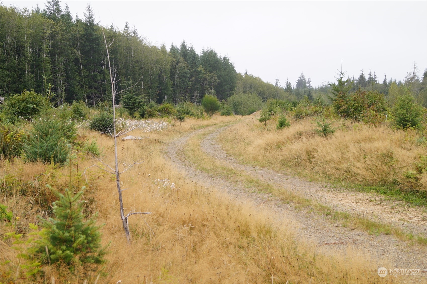 -off Of Wynoochee Valley Road Montesano, WA 98563 - Photo 6 of 8