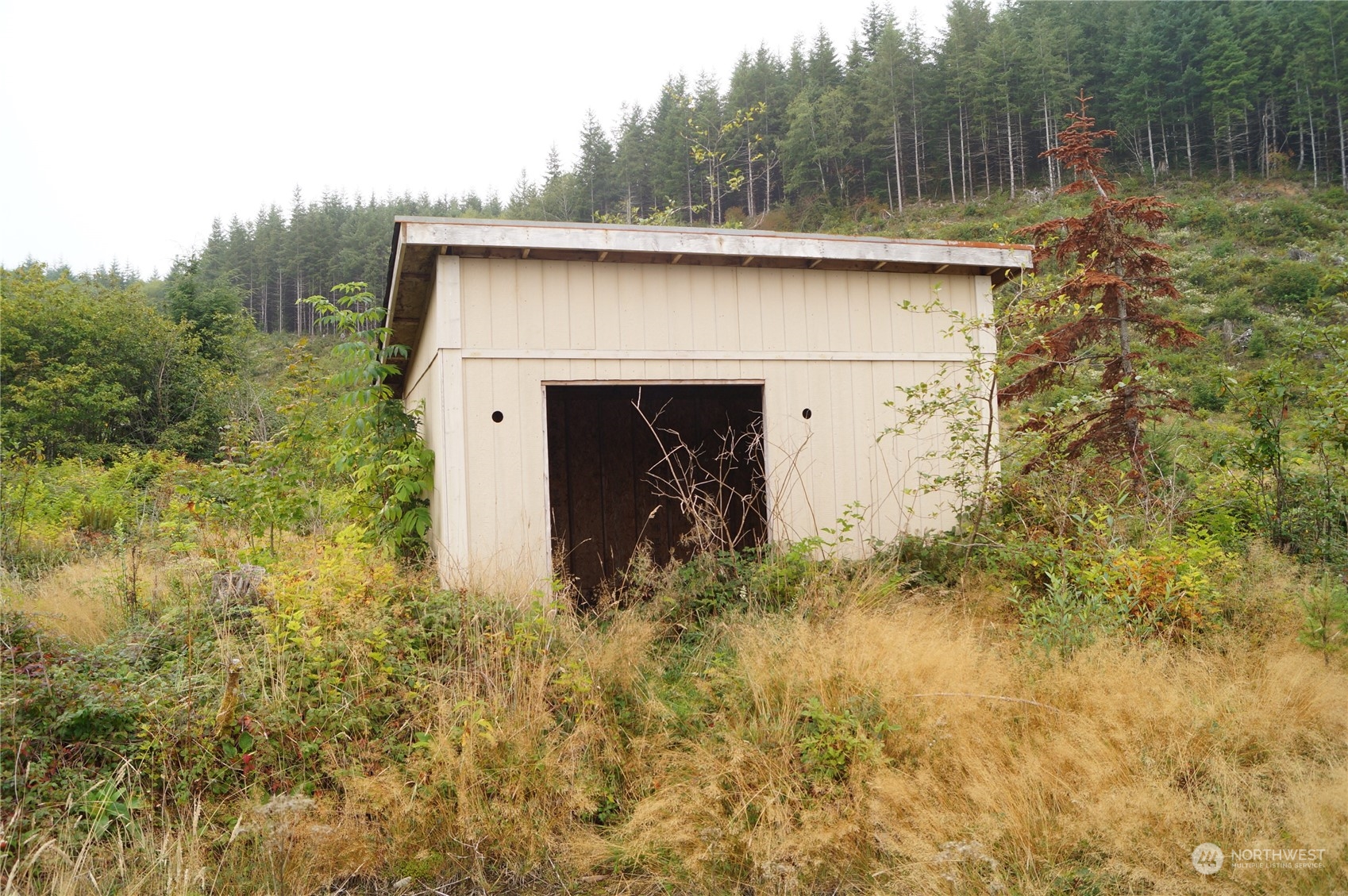 -off Of Wynoochee Valley Road Montesano, WA 98563 - Photo 7 of 8