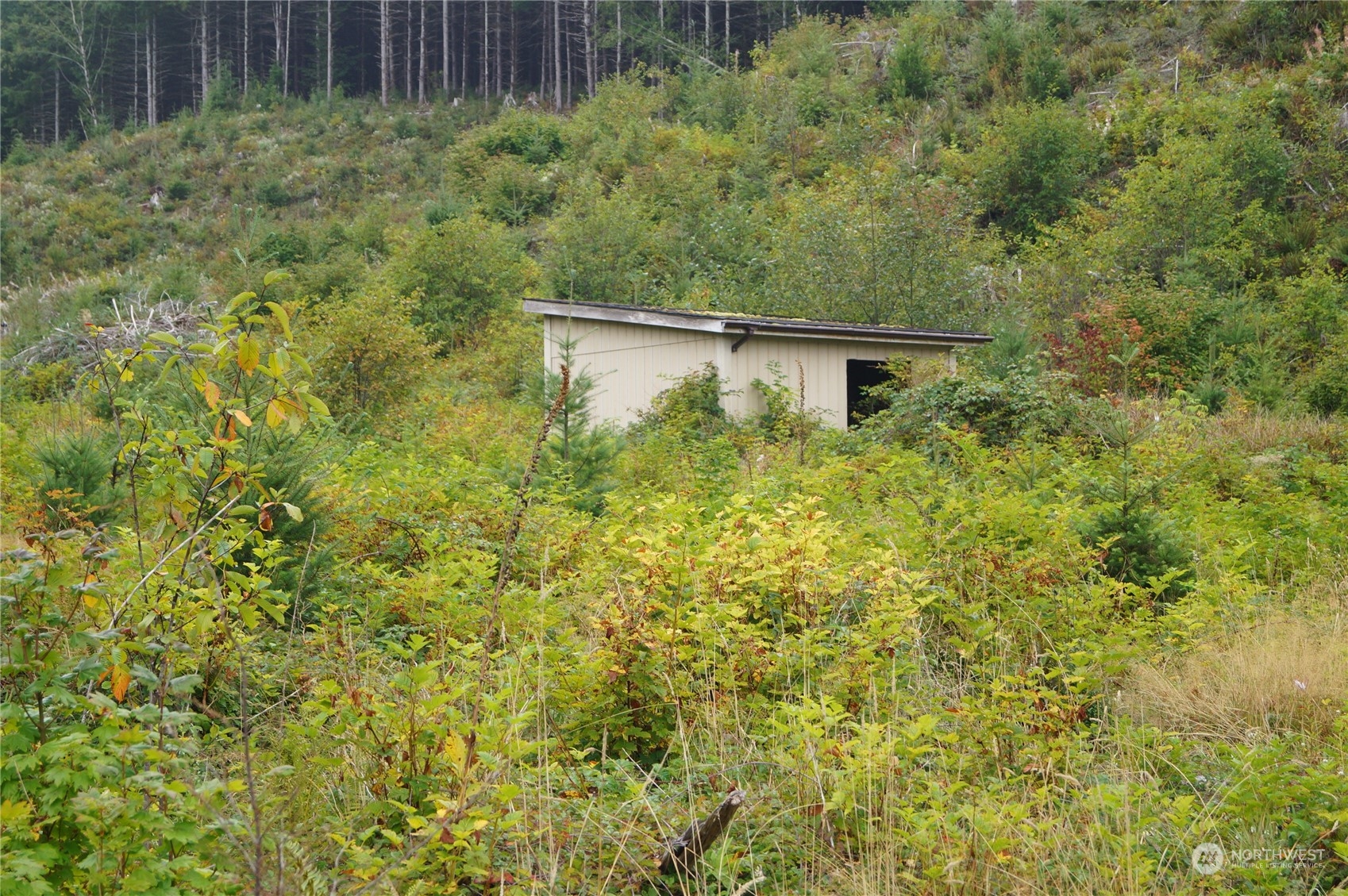 -off Of Wynoochee Valley Road Montesano, WA 98563 - Photo 8 of 8