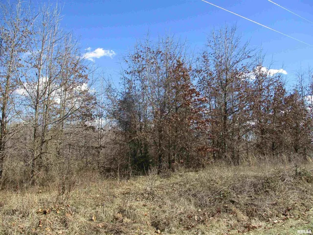 $27,500 | 0 Antioch Road, West Frankfort, IL 62896