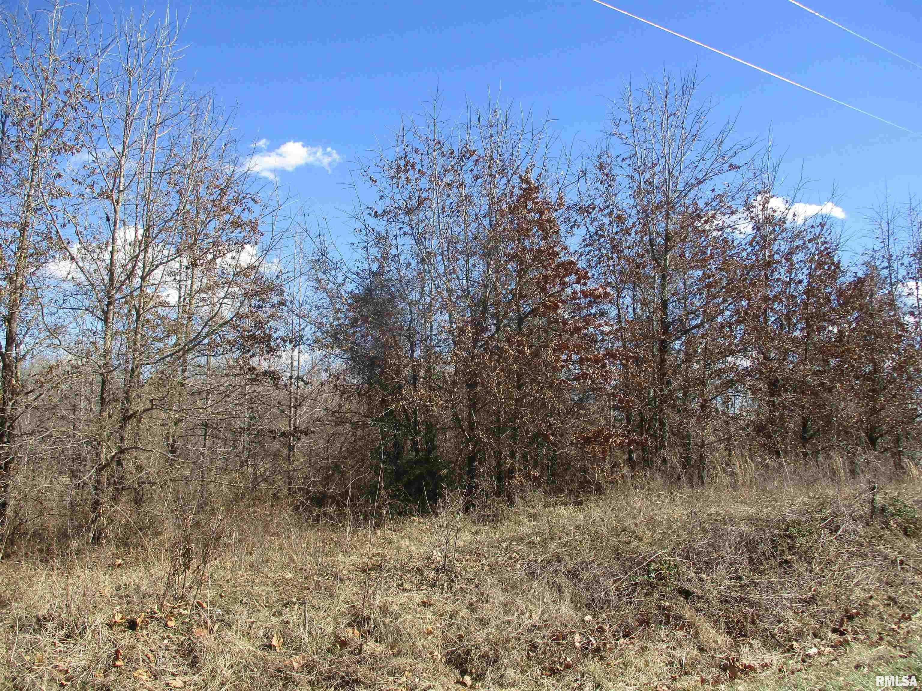 0 Antioch Road West Frankfort, IL 62896 - Photo 1 of 14