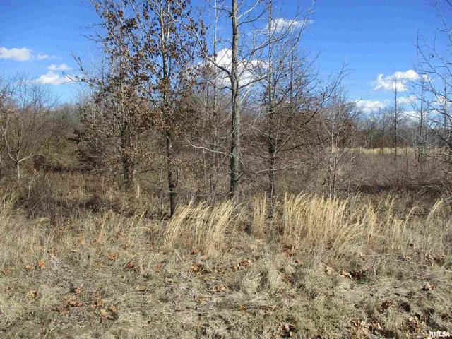 $27,500 | 0 Antioch Road, West Frankfort, IL 62896