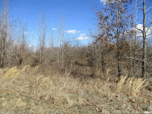 $27,500 | 0 Antioch Road, West Frankfort, IL 62896