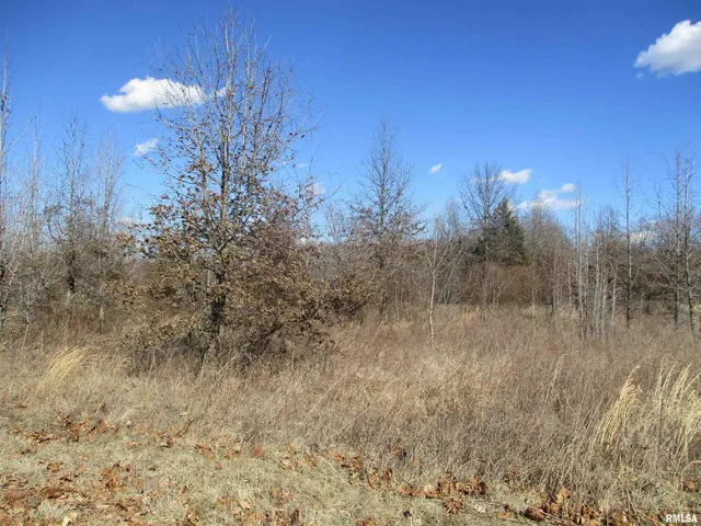 $27,500 | 0 Antioch Road, West Frankfort, IL 62896