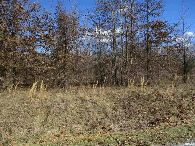 $27,500 | 0 Antioch Road, West Frankfort, IL 62896