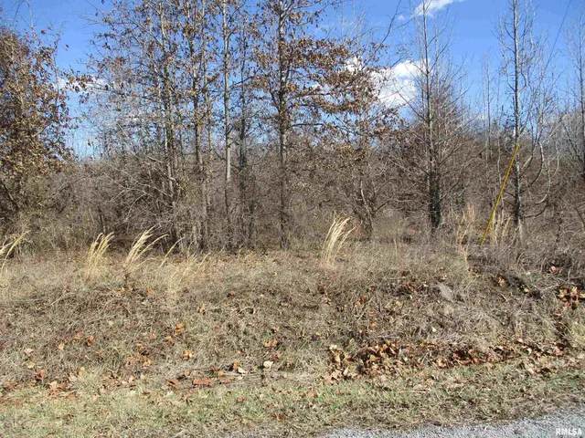 $27,500 | 0 Antioch Road, West Frankfort, IL 62896