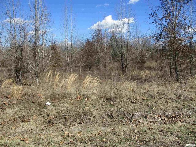 $27,500 | 0 Antioch Road, West Frankfort, IL 62896