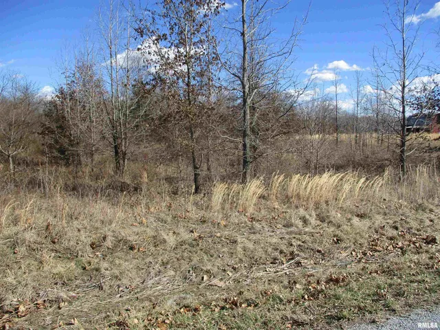 $27,500 | 0 Antioch Road, West Frankfort, IL 62896