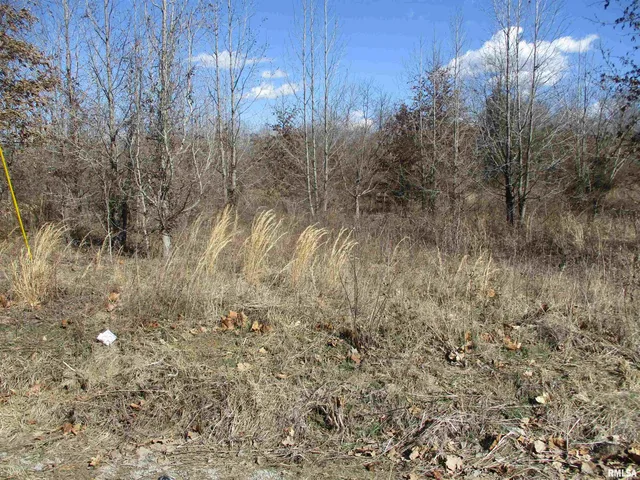 $27,500 | 0 Antioch Road, West Frankfort, IL 62896