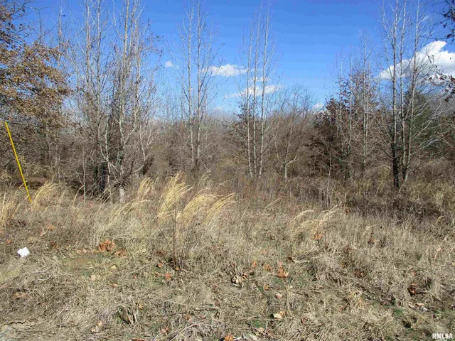 $27,500 | 0 Antioch Road, West Frankfort, IL 62896